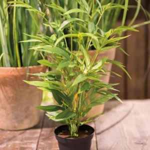 Faux Bamboo Plant by Grand Illusions